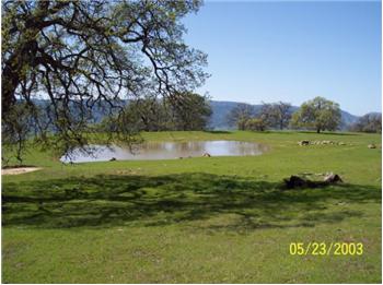  County Road 57, Guinda, CA