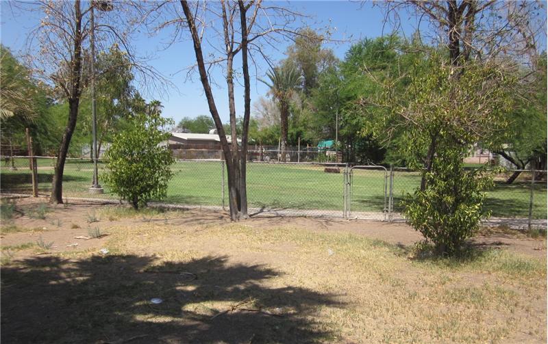 Back yard rear view to park area