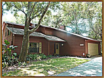  19314 Holly Lane, Lutz, FL