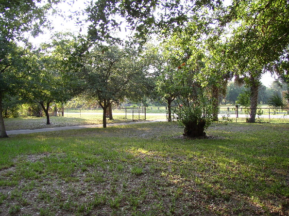 Front Yard
