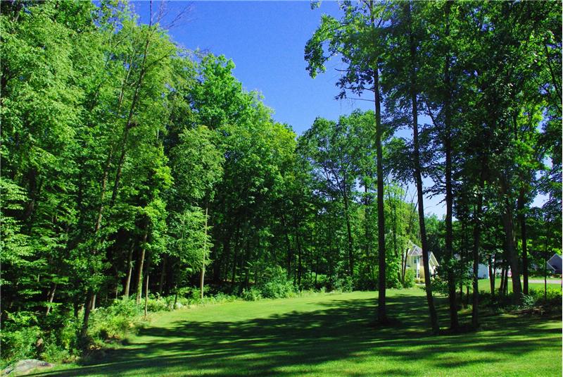 Front Lawn