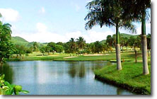 Golf at Lush Carambola only Minutes Away!