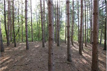  Lot 9 Fur Ct, Wisconsin Dells, WI