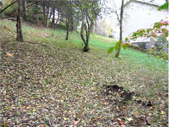  Ridgeway Avenue, Morgantown, WV