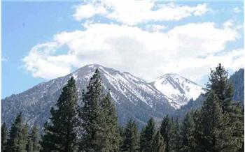 180  Summit Ridge Way 124, Gardnerville, NV
