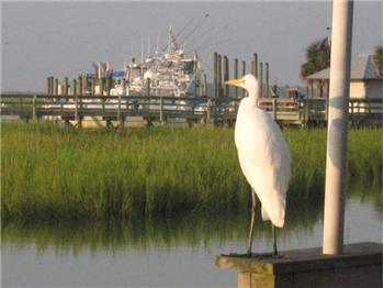  9 Hagar Brown Rd, Murrells Inlet, SC