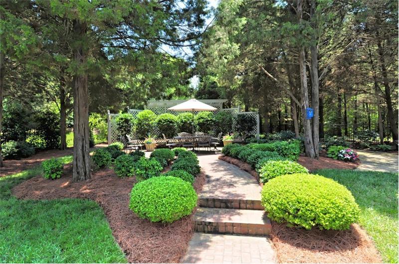Lush backyard