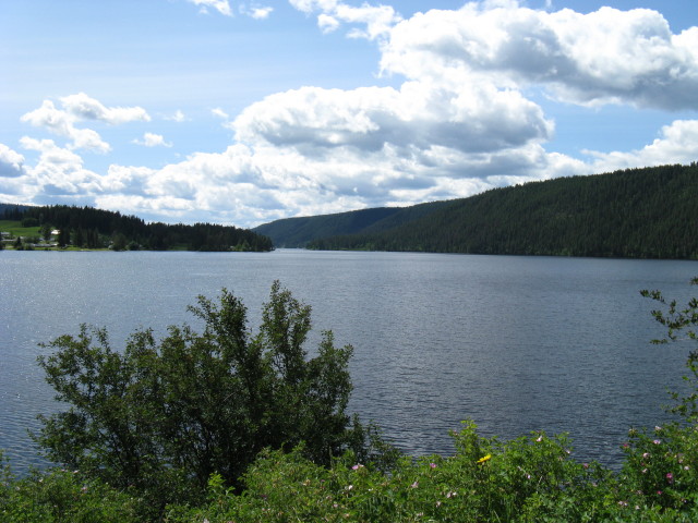 McLeese Lake