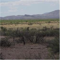  TBD / Toltec Pl, McNeal, AZ