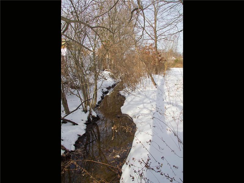 Adjacent creek