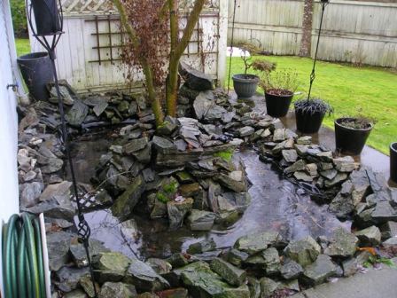 Fish pond