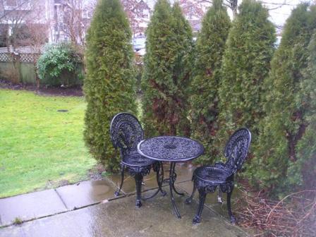 Patio great for BBQ