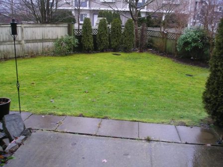 Patio showing backyard