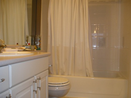 Main bathroom continued
