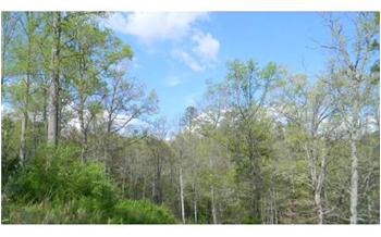 13.63 Acres  Owl Creek / Pat Road, Hiawassee, GA