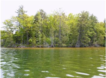  4565 Greilick, Traverse City, MI